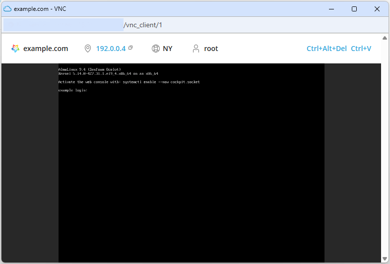 solusvm2-vnc-area.gif